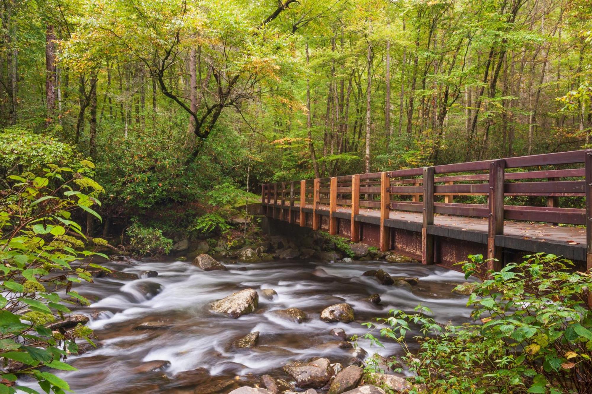 Saddleback Retreat, Game Room, Hot Tub, Wifi, 1089 Free Tickets Each Paid Day, Dollywood And More Sevierville Eksteriør billede
